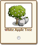 White Apple Tree (Click to Send)