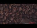 Видео Russian Barista Camp: Крым 2016