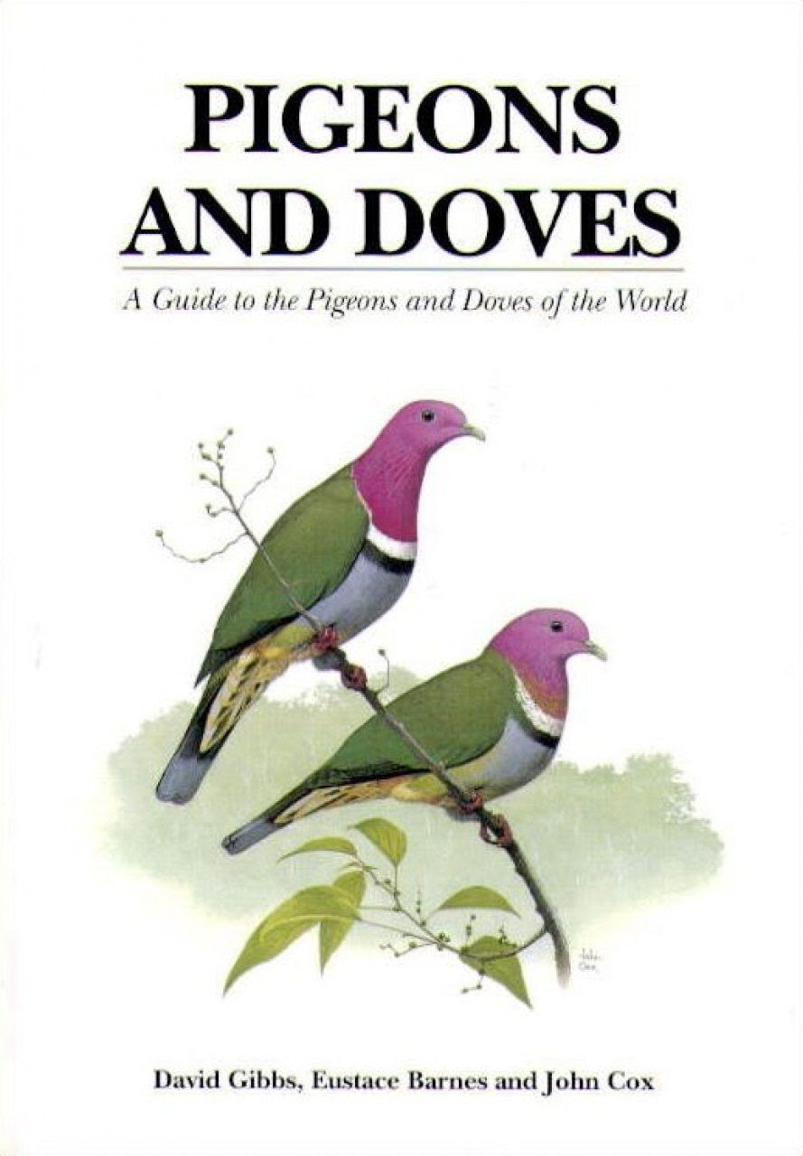 Pigeons And Doves A Guide To The Pigeons And Doves Of The World