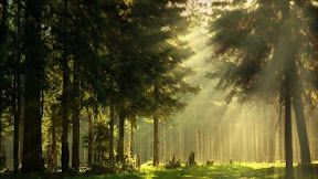 Autumn Green Funeral Home Obituaries