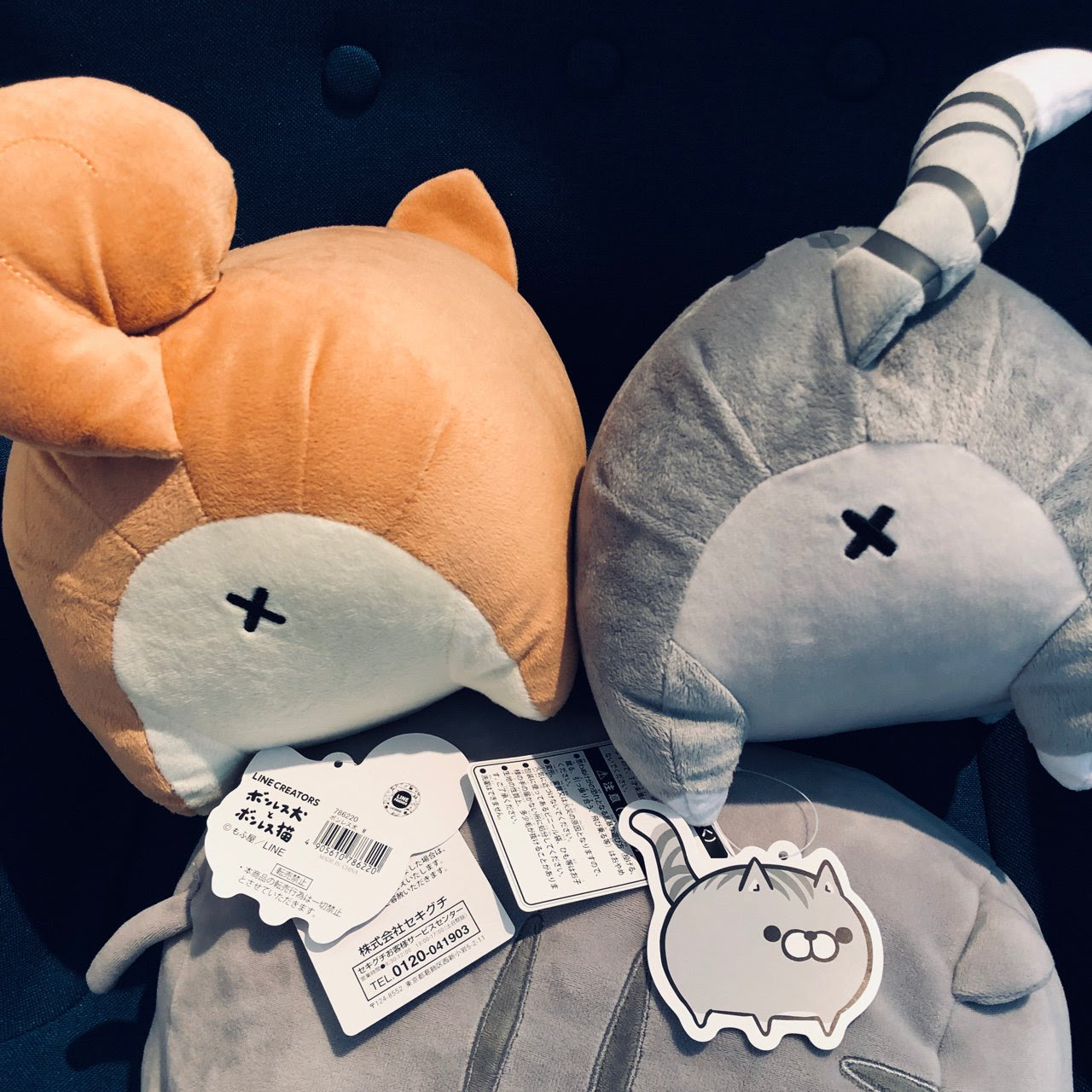 nilog: 今日が発売日なのにネットショップはもう在庫切れ。ロフトで 