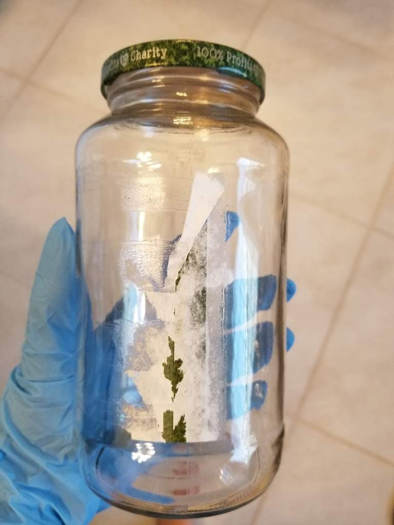 Easy Way to Remove Labels From Jars | The Witches' Circle Amino