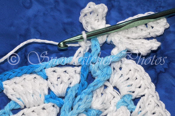 Pull yarn and loop on hook back through ch 10 loop to work next set of dc stitches.