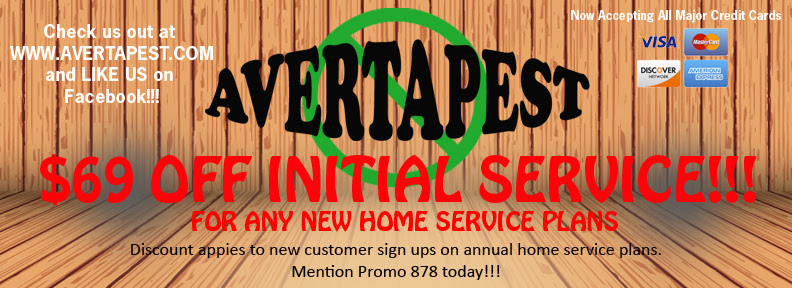 Integrated Pest Management Service in Corona, California ...
