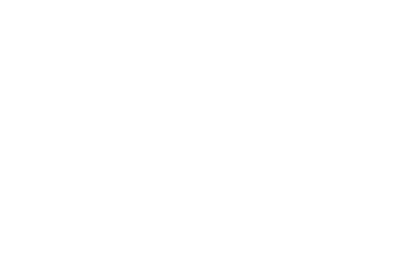 レースハートコースター レース素材専門サイト Da Lace ダ レース