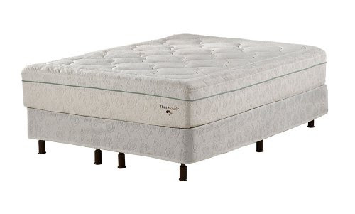 Spirit Sleep Banzai Theratouch 12-Inch Memory Foam Queen Mattress