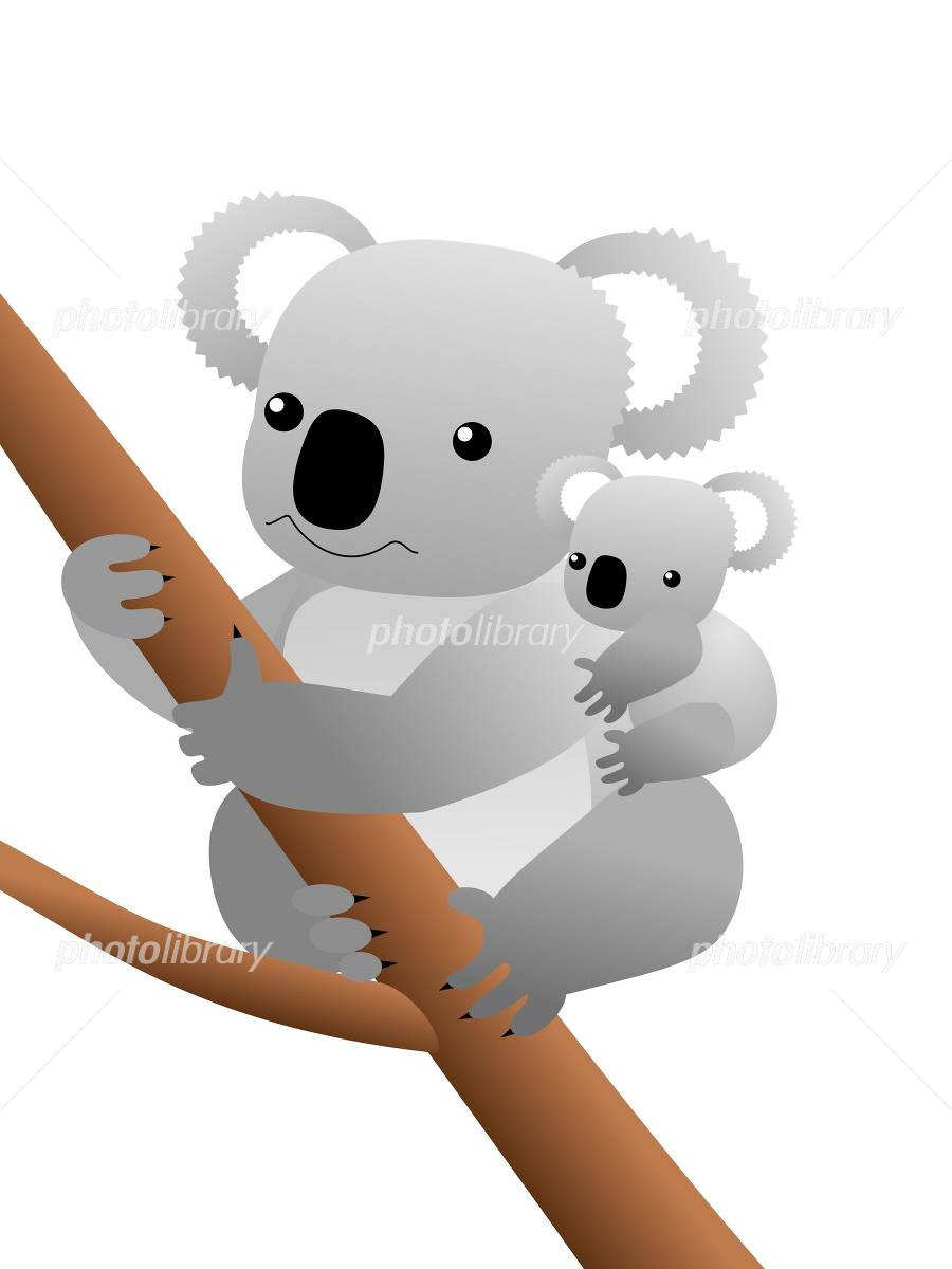 コアラの画像 原寸画像検索