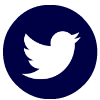  photo twitterwhitenavybutton.png