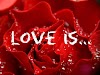 Love Red Rose Hd Image