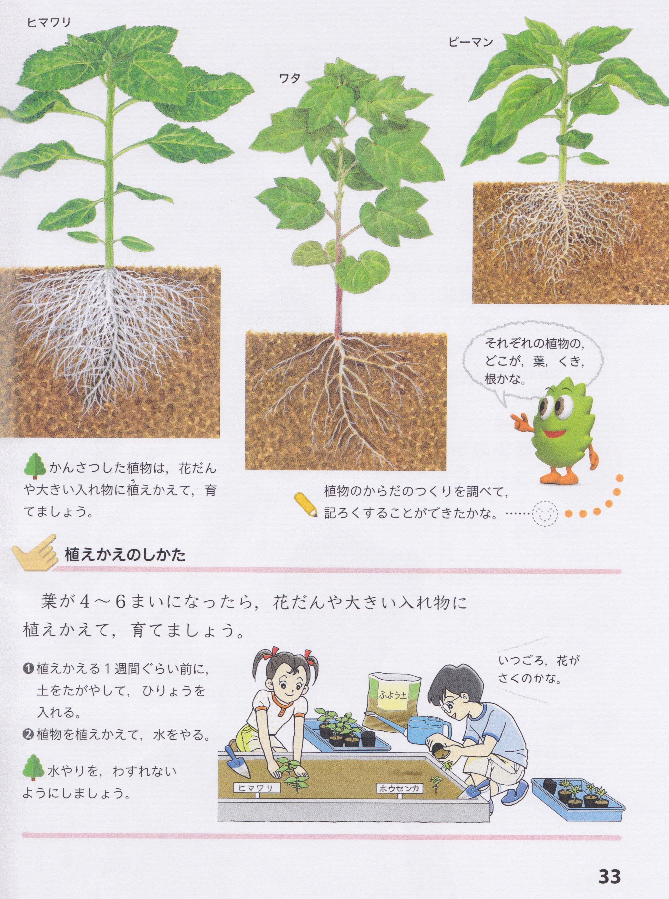 Get 39 葉っぱ スケッチ 理科
