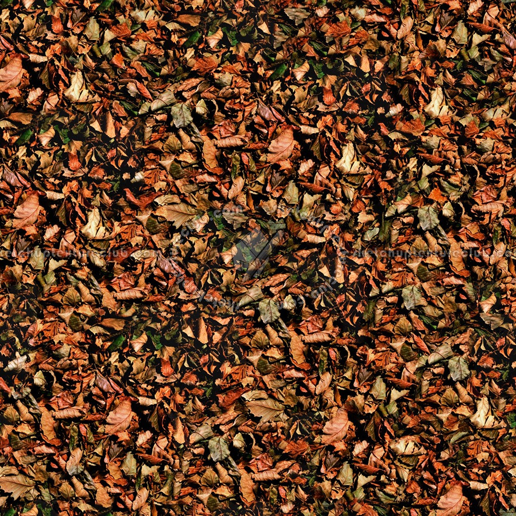 Leaves Dead Texture Seamless