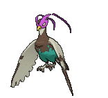 ポケモンに合うオシャボ 第5世代 自称ヘラクロニストのポケモン日記