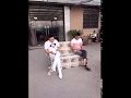 Funny Video - Make me laugh Much