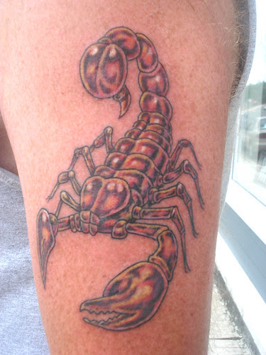 Scorpion Tattoo Arm