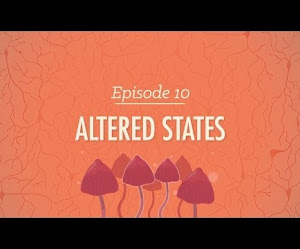 Crash Course in Psychology >> Episode 10 - Altered States