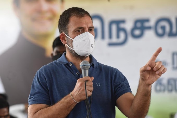 Delhi Congress Passes Resolution to Make Rahul Gandhi Party President with Immediate Effect