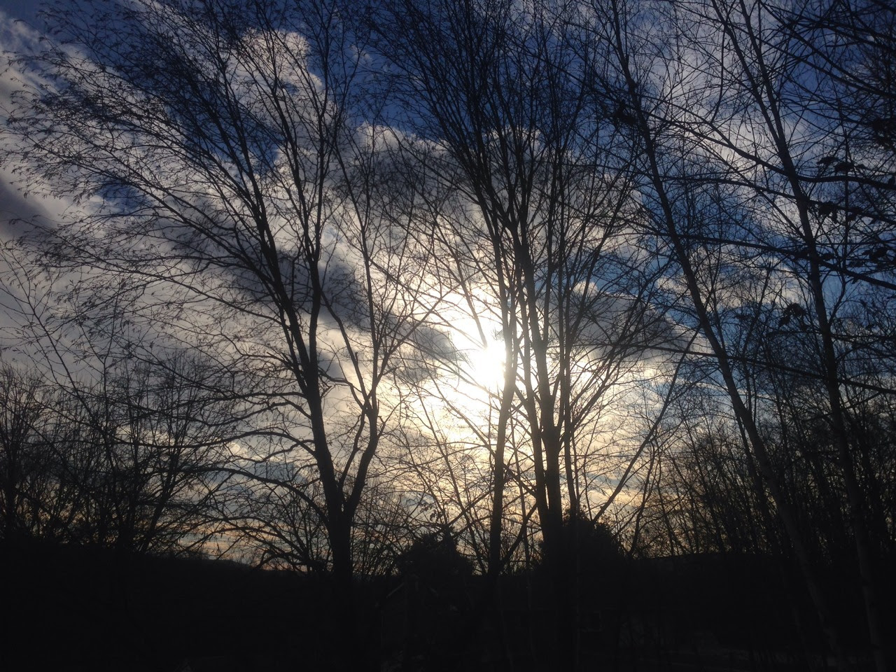 A Saturday in autumn under a cold November sky.. Hard to believe this is thanksgiving week already. Get some spirits ready and hope for a safe drive no matter where your weekend travels take you.  Good evening everyone.