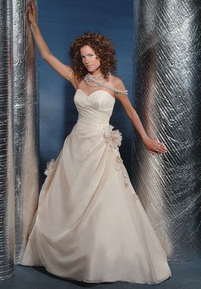 ارقي فساتين الزفاف 2013 ، فساتين زفاف تاخد العقل 2014 82658.png