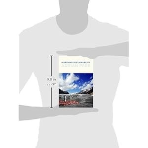 Hijacking Sustainability (MIT Press)