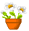 flowerpot2.gif picture by zubia_2009