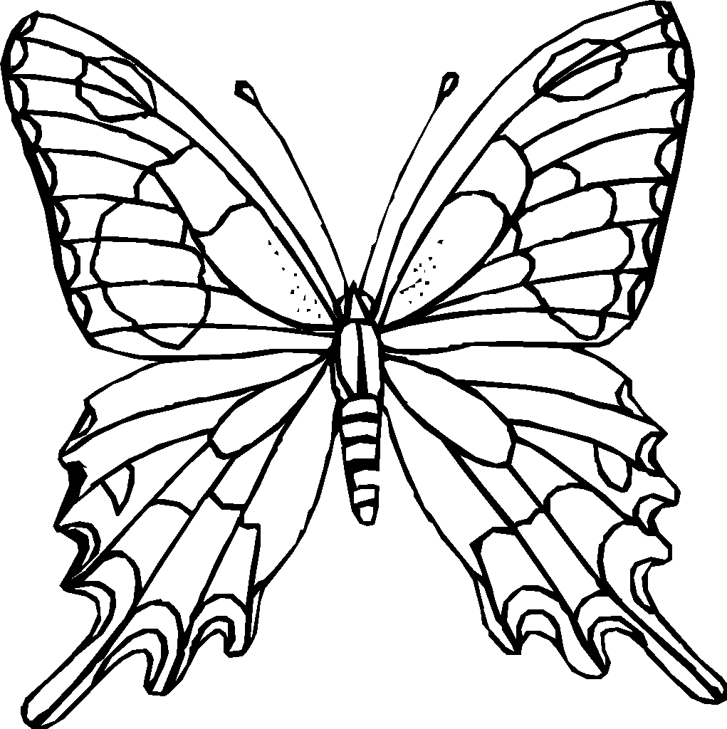 Download Butterfly Coloring Page - Dr. Odd