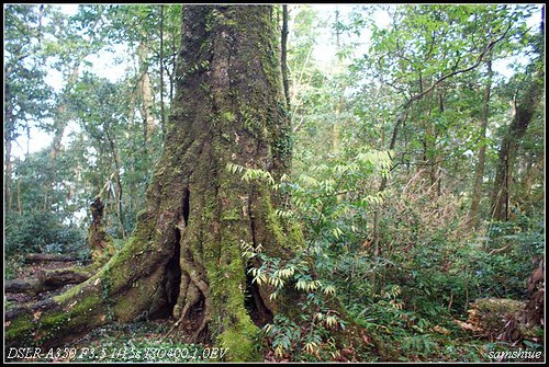DSC00177_nEO_IMG