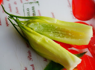 ricette puntarelle light vegan