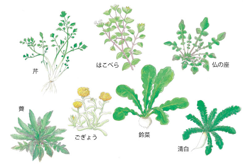 春の七草