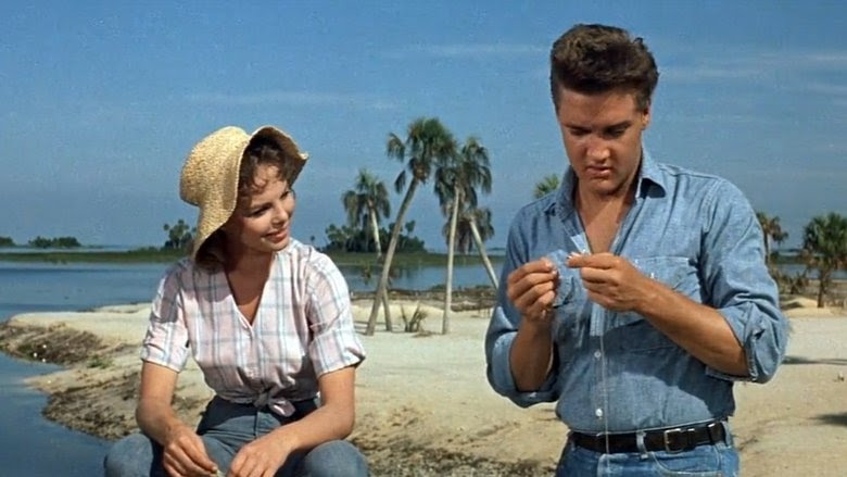 Le Shérif de ces dames fr 1962