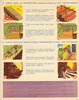 mdichutepage25