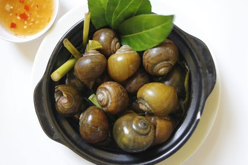 huong-dong-que-trong-mon-ca-ri-oc-buou