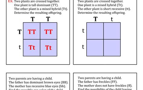 Free Reading www shellyssciencespot com punnett square practice awsers Kindle Editon PDF