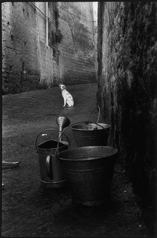 Great Black And White Photographs From The Masters Of Photography
