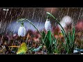 睡眠のための雨の音 - Rain Sounds For Sleep