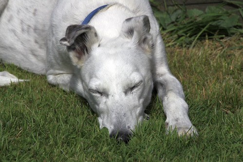 Waiting for the Postman