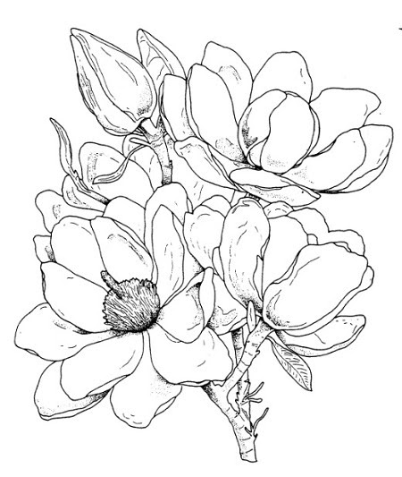 Download Frantic Stamper Cling-Mounted Rubber Stamp - Magnolia
