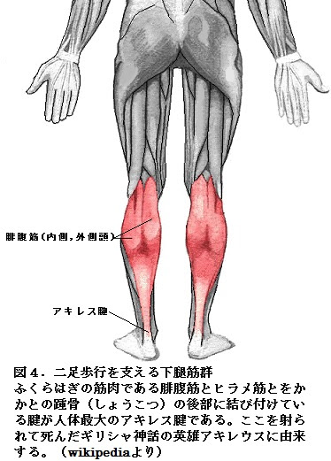 耳寄りな心臓の話 第53話 足は軽く 心臓は強く はあと文庫 心日本心臓財団刊行物 公益財団法人 日本心臓財団
