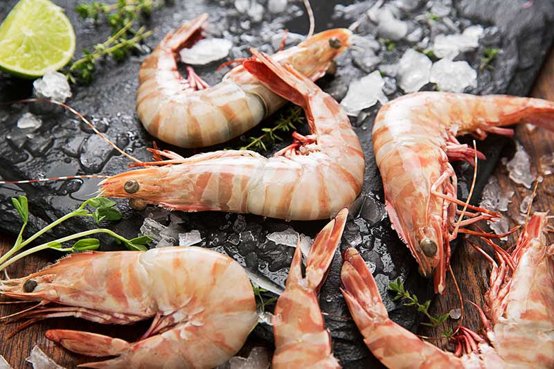 Australian Seafood Exports Prawn Grading Information