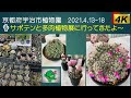 無料ダウンロード 宇治 市 植物園 235646-宇治市植物園 蝶々
