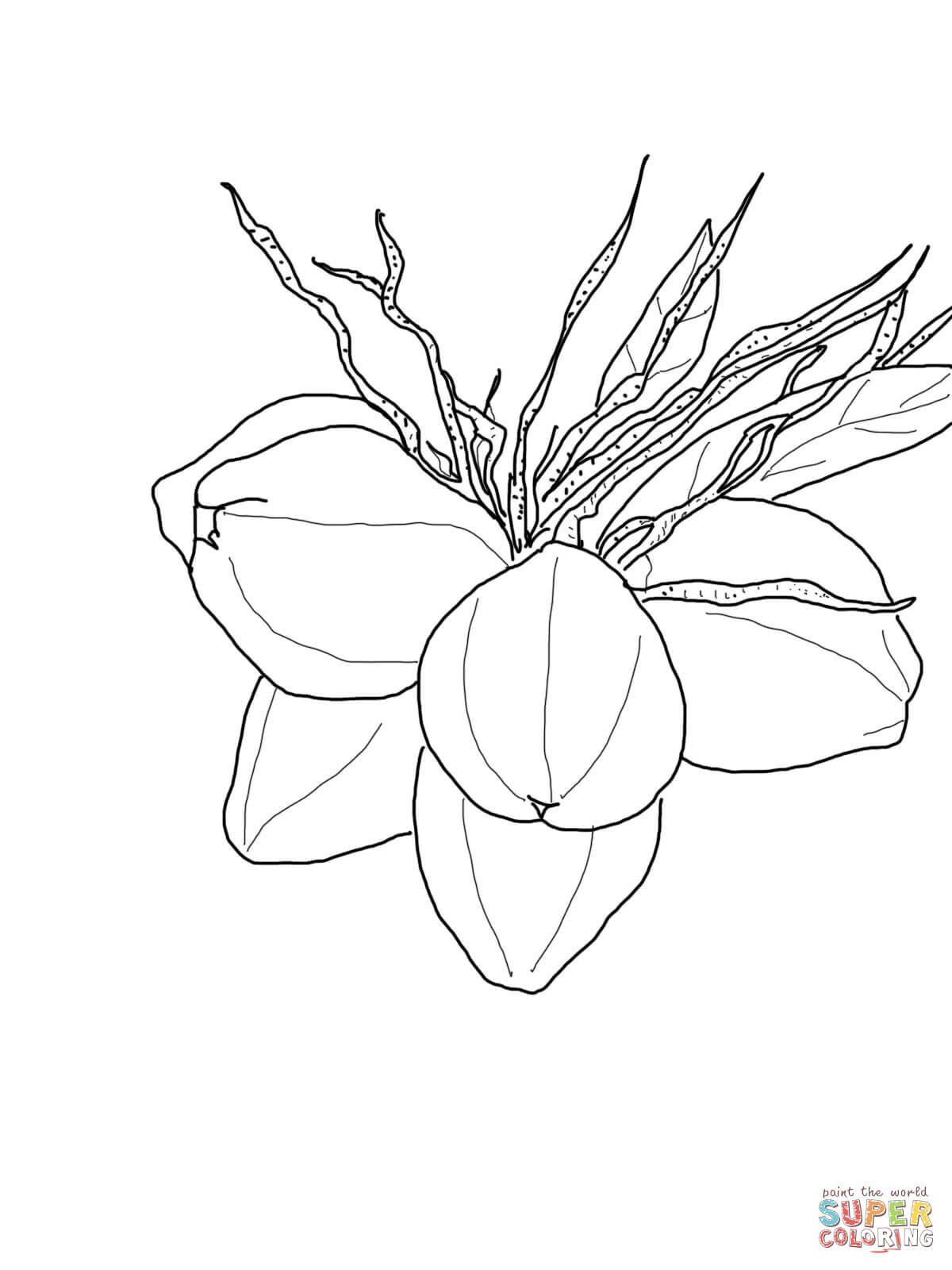 the Coconuts on Palm coloring pages to view printable