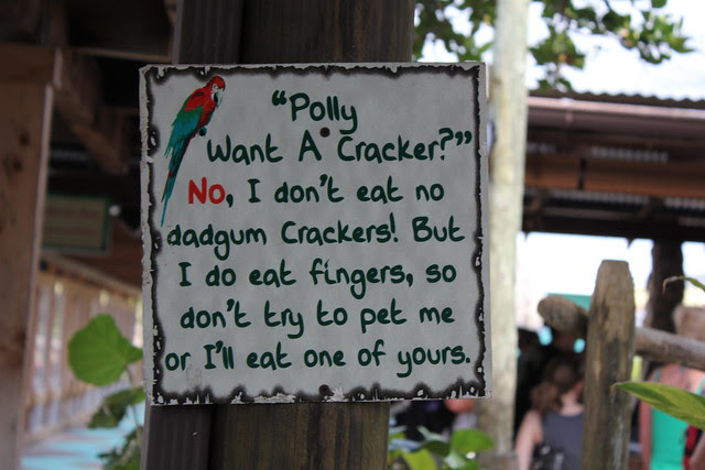 Gatorland