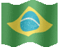 Portuguese