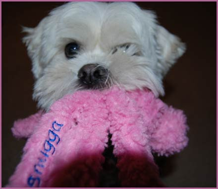 Snugga-Wubba