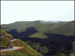 DSC09403