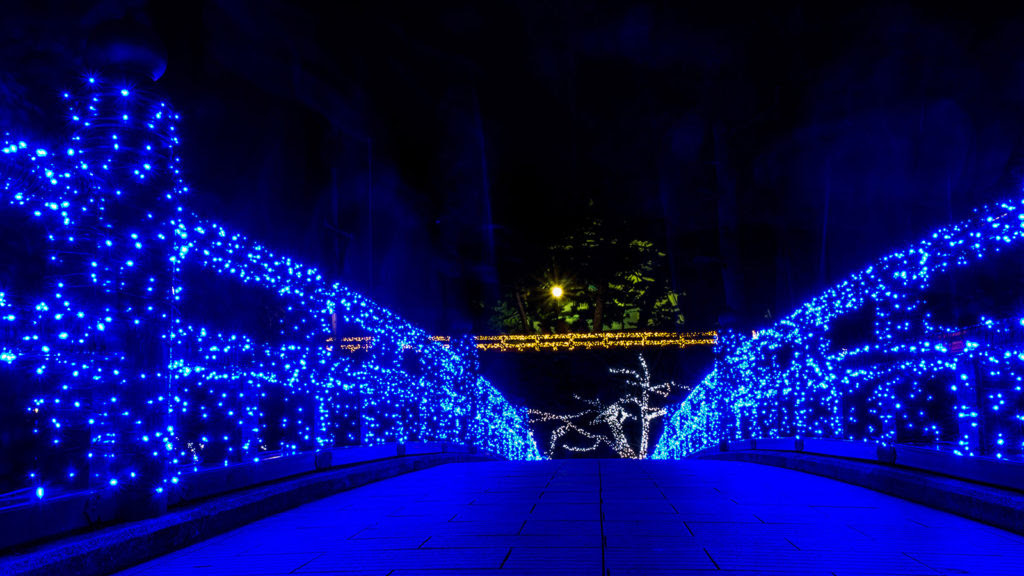 家康の生まれた地 岡崎城 愛知県の観光 撮影スポット 撮る旅