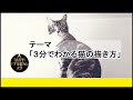 [最も欲しかった] 猫 イラスト ねこ 書き方 346703