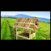 Cara Bikin Saung Bambu : Harga Gazebo Bambu Sederhana 2020 Dilengkapi Inspirasi Desain / Check spelling or type a new query.