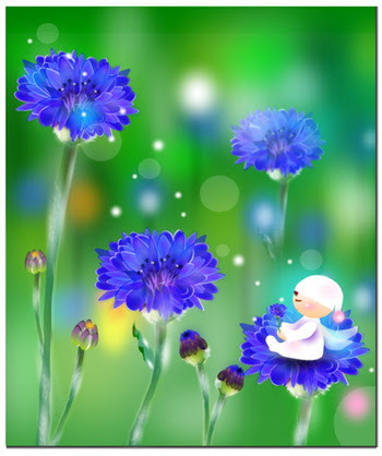 矢車草 Let S Stroll