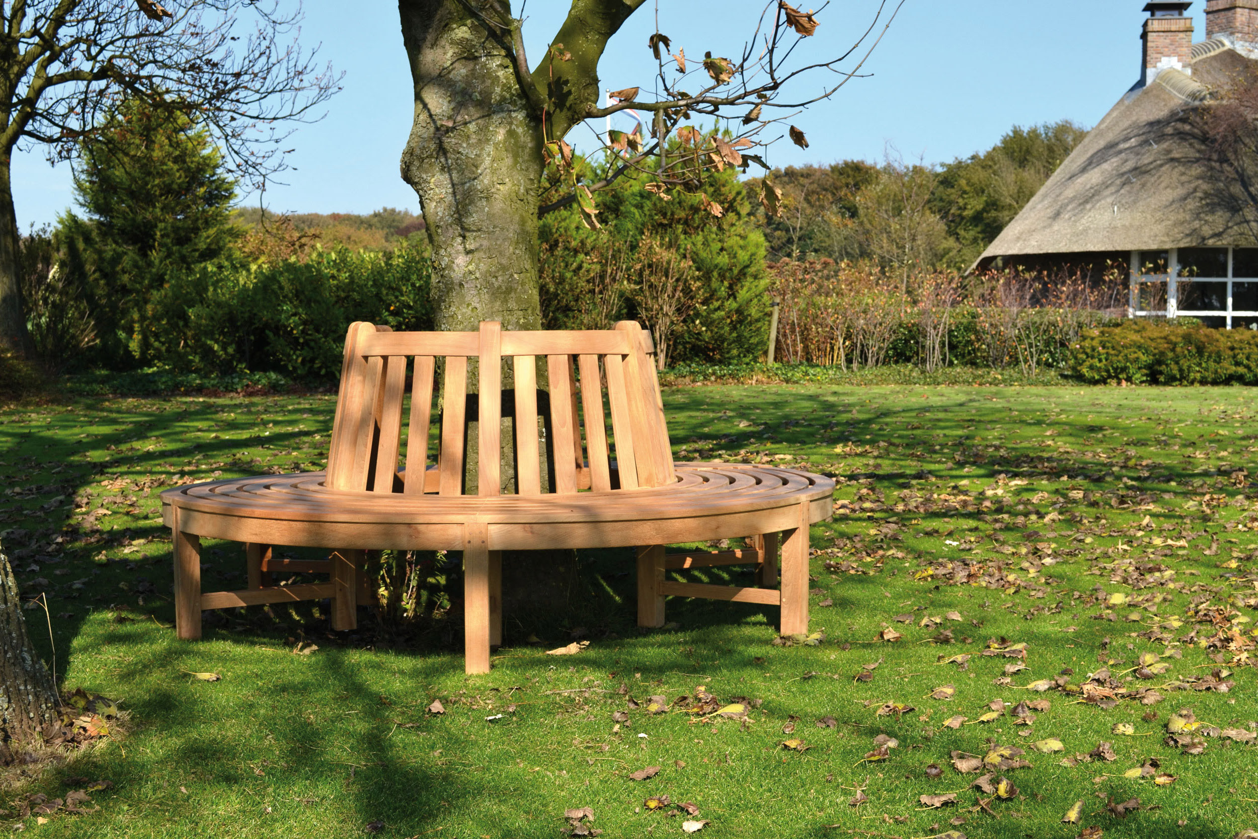 Baumbank BEATRICE von Traditional Teak