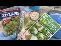コンプリート！ カリフラワー 育て方 プランター 318587